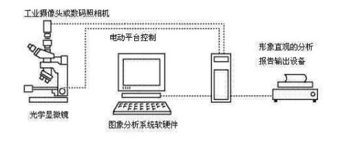 铁谱图